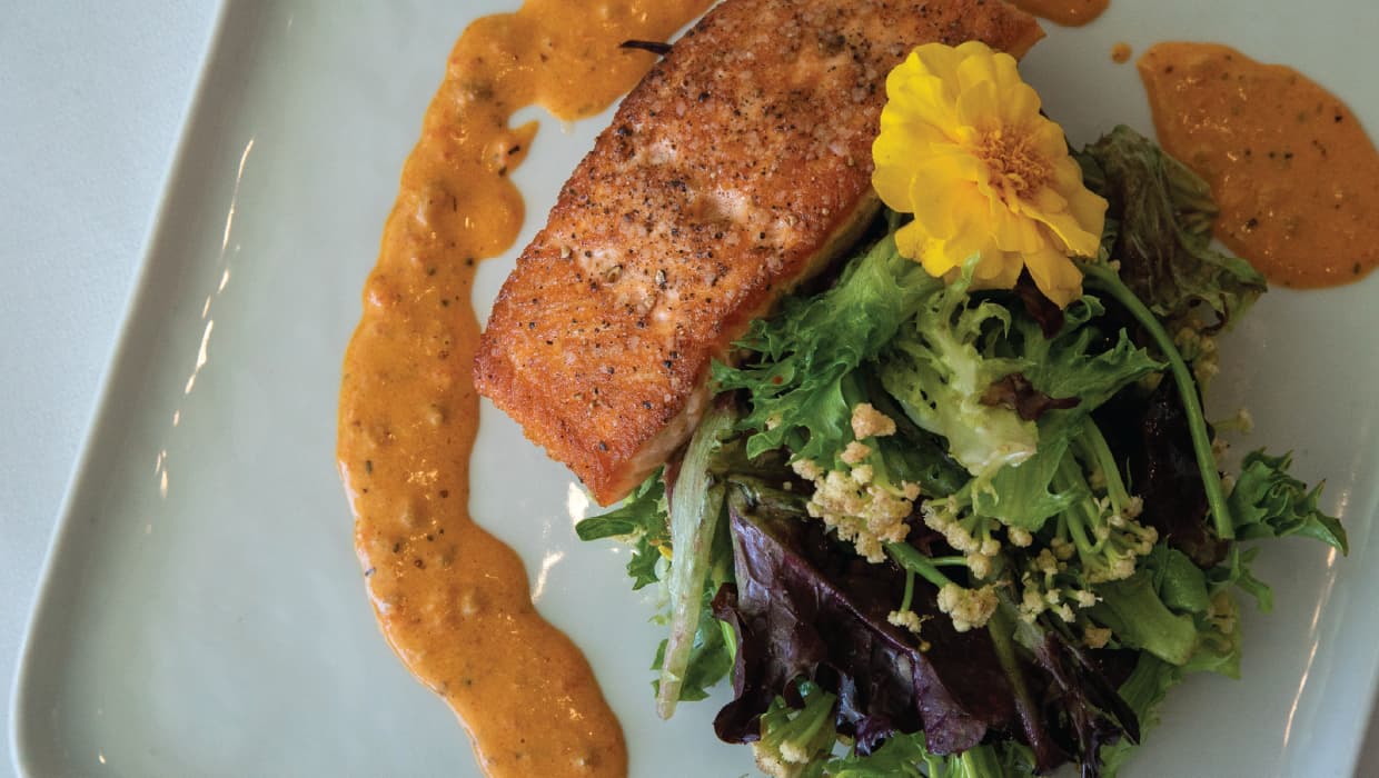 Pan-Seared Fresh Salmon